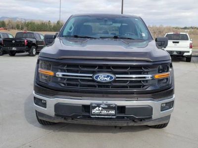 2024 Ford F-150 — detail view