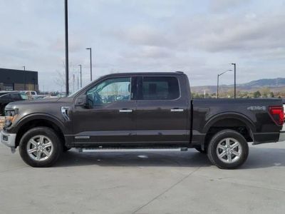 2024 Ford F-150 — side profile view