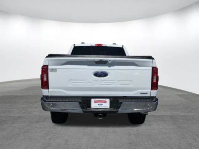 2023 Ford F-150 — engine compartment view