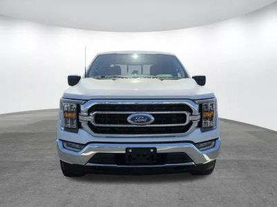 2023 Ford F-150 — rear three-quarter view