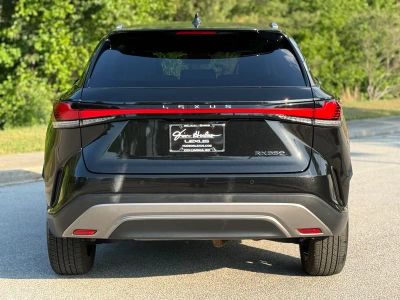 2024 Lexus RX 350 - Photo 10