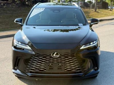 2024 Lexus RX 350 - Photo 6