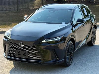 2024 Lexus RX 350 - Photo 7