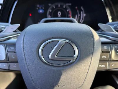 2024 Lexus RX 350 - Photo 26