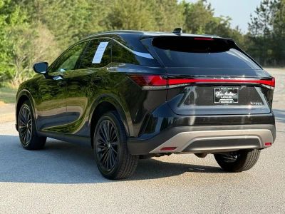 2024 Lexus RX 350 - Photo 9