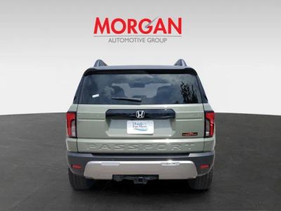 2026 Honda Passport — detail view