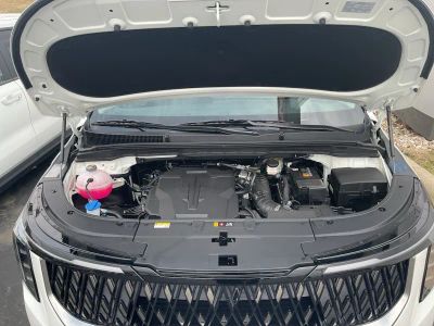 2026 Kia Carnival - Photo 22