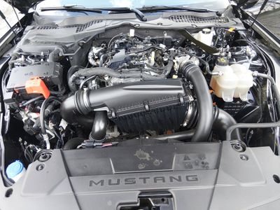 2024 Ford Mustang - Photo 9
