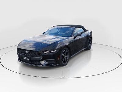 2024 Ford Mustang - Photo 3