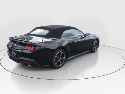 2024 Ford Mustang - Photo 7