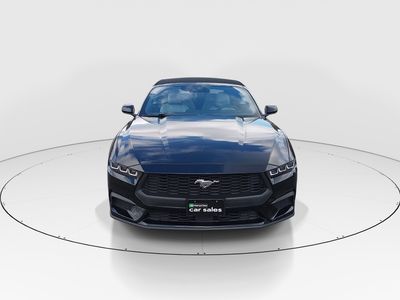 2024 Ford Mustang - Photo 2