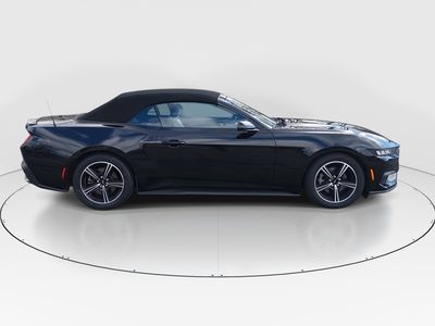 2024 Ford Mustang - Photo 8