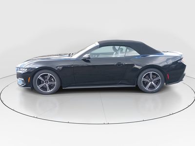2024 Ford Mustang - Photo 4