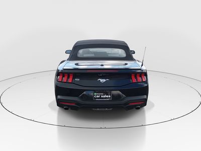 2024 Ford Mustang - Photo 6
