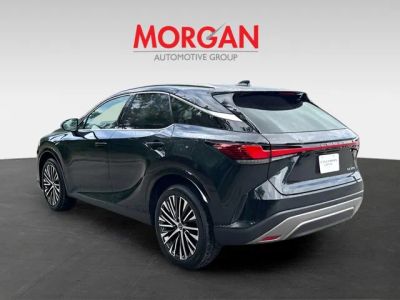 2023 Lexus RX — detail view