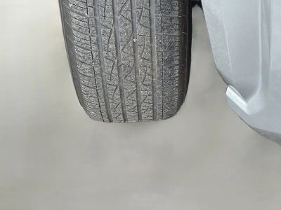 2024 Toyota Tacoma 2WD — photo 40 view