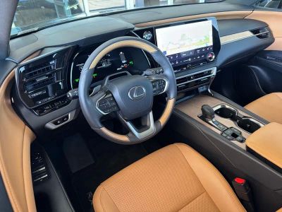 2025 Lexus RX — rear three-quarter view