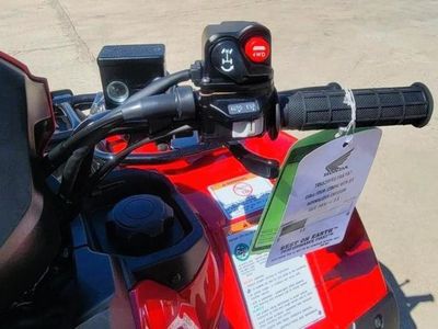 2025 Honda FourTrax Foreman Rubicon 4x4 Automatic DCT EPS - Photo 15