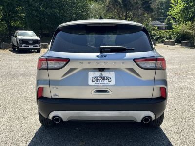 2021 Ford Escape - Photo 6