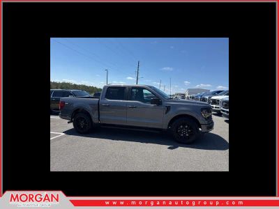 2025 Ford F-150 STX in Gray — front three-quarter view