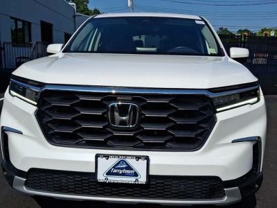 2024 Honda Pilot — side profile view