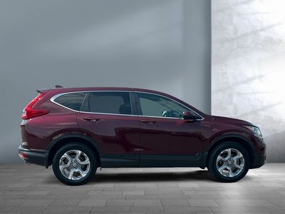 2019 Honda CR-V - Photo 4