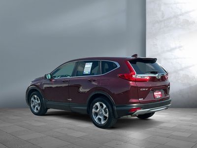 2019 Honda CR-V - Photo 3
