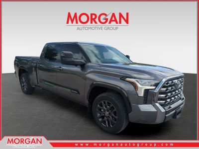 2024 Toyota Tundra Platinum in Gray — front three-quarter view