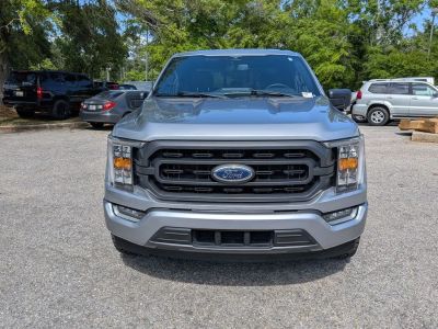 2023 Ford F-150 — photo 8 view
