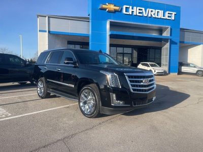 2019 Cadillac Escalade - Photo 1