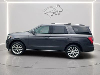 2019 Ford Expedition — side profile view