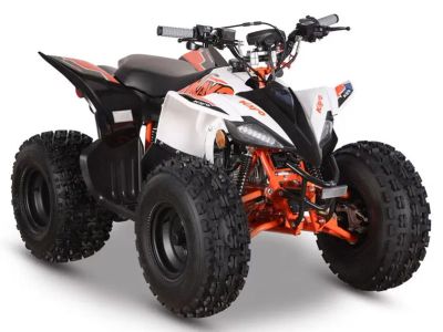 2026 Kayo Predator 125 EFI - Photo 3
