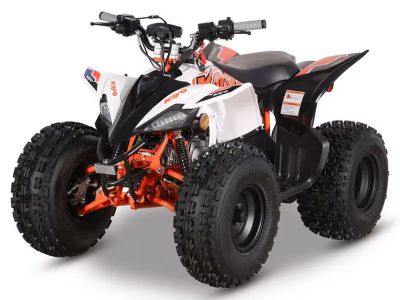 2026 Kayo Predator 125 EFI - Photo 4