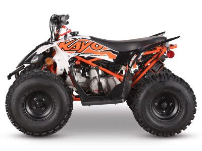 2026 Kayo Predator 125 EFI - Photo 2