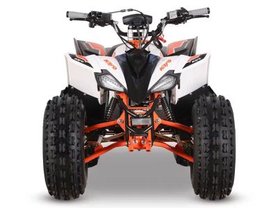 2026 Kayo Predator 125 EFI - Photo 5