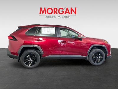 2025 Toyota RAV4 - Photo 2