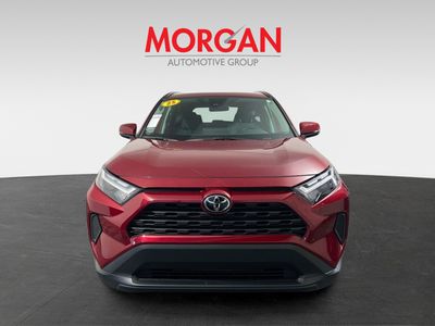 2025 Toyota RAV4 - Photo 8
