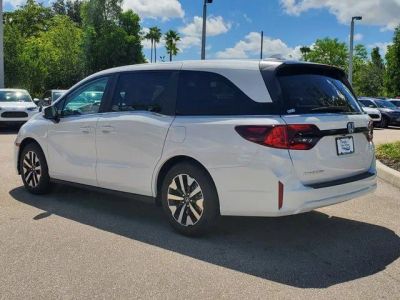 2026 Honda Odyssey — photo 14 view