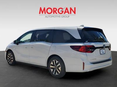 2026 Honda Odyssey — detail view