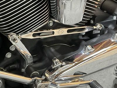2018 Harley-Davidson Street Glide - Photo 15