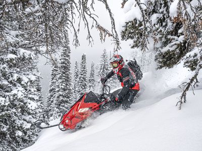 2025 Polaris Patriot 9R PRO RMK 155 SC - Photo 4