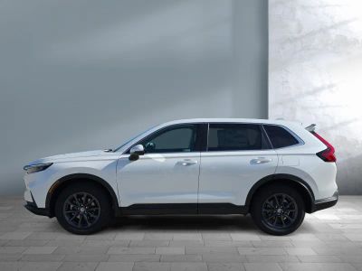 2026 Honda CR-V - Photo 3