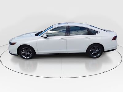 2024 Honda Accord Sedan - Photo 4