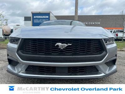 2025 Ford Mustang - Photo 8