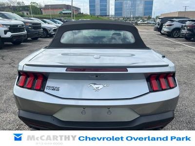 2025 Ford Mustang - Photo 4