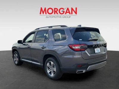 2026 Honda Pilot — detail view