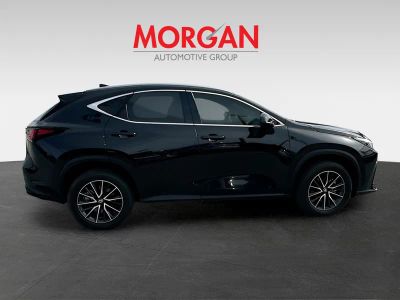 2025 Lexus NX — photo 8 view