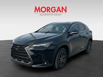 2025 Lexus NX — rear three-quarter view