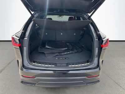 2025 Lexus NX — photo 26 view