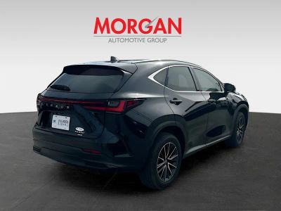 2025 Lexus NX — photo 7 view